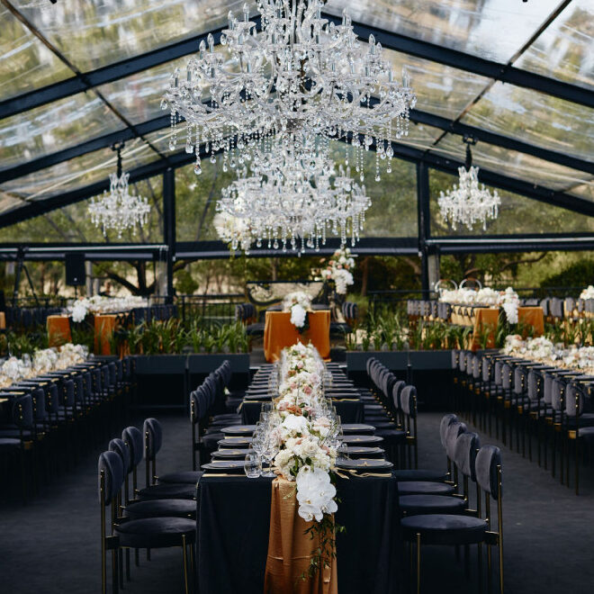 Duke-Collection-4-e1750760357283